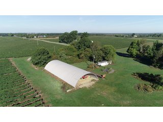 Van Buren County, Michigan Farmland - LAND AUCTION - 300+/- ACRES SPECIALTY CROP - GRAPES AND HOPS - OFFERED IN 8 TRACTS IN VAN BUREN COUNTY, MICHIGAN
